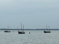 -贡湖湾湿地公园