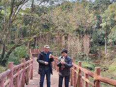 -广州市石门国家森林公园