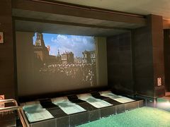 -丽思卡尔顿酒店泳池(金融街店)