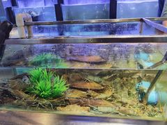 水产区-V-ONE西雅图海鲜自助餐厅(仓山万达广场店)