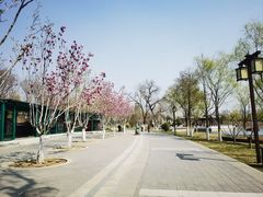 -西海子公园