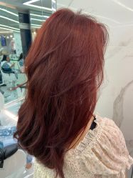 -潘多拉Hairsalon