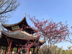 -采石矶景区