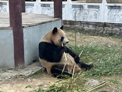 -杭州野生动物世界