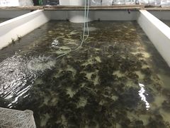 -珍宝蟹舫·巴城味道(巴城总店)