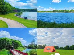 -上海山野camping·户外天幕烧烤·团建拓展营地