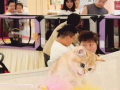 -成都银泰城