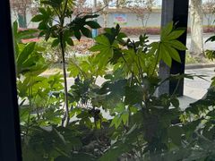 -东园小馆·早茶·淮扬小炒(江都路店)
