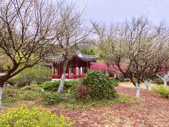 -采石矶景区