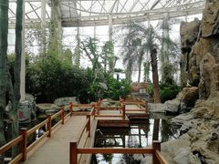 -泰山花样年华景区
