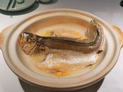 潮州冬菜蒸大黄鱼-潮堂 · 潮州菜(国贸商城店)