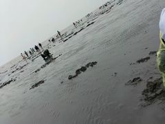 -启东黄金海滩景区