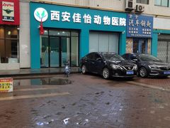 -佳怡动物医院·平价24小时·猫专科骨外科
