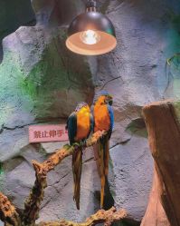 -Zoolung Zoolung动物主题公园(海信广场店)