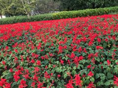 -铁山坪森林公园