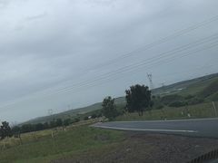 -御道口草原森林风景区