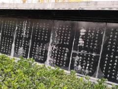 -东方巨龟苑景区