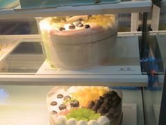 -维尔纳斯·生日蛋糕动物奶油冰淇淋蛋糕(人大店)