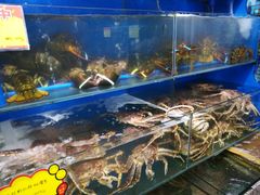 -蚝专家(北滘店)