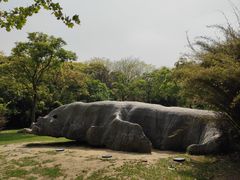 -上海吴淞炮台湾国家湿地公园