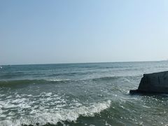 -石塘路海鲜市场(草厂中路店)