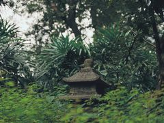-广州兰圃