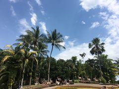 -东芭乐园