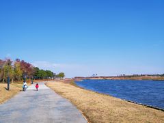 -南汇新城城市公园