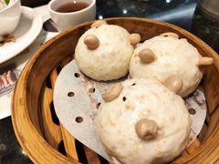 -新兴·金羊座·粤菜点心(乐峰店)