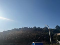 -黄贤森林公园