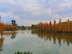 -白鹭湾湿地公园