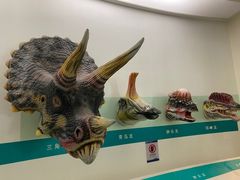 -安徽省地质博物馆
