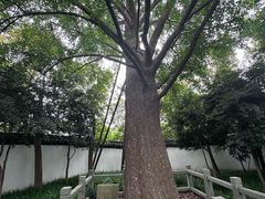 -上海醉白池公园