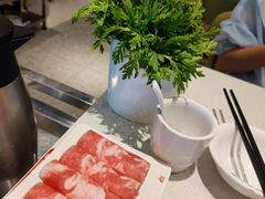 -古乐牛香鲜牛肉牛杂火锅(观前街店)