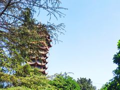 -塔子山公园