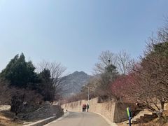 -北京鹫峰国家森林公园