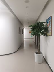 -丰联丽格医疗美容·联合丽格眼整形中心