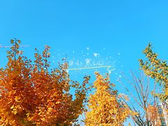 -两江幸福广场