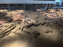 -自贡恐龙博物馆