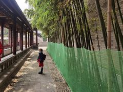 -龙潭水乡