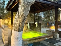 -春晖园度假酒店温泉