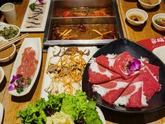 -蓉客成都火锅·招牌麻辣牛杂·特色香辣蹄花(凌水店)