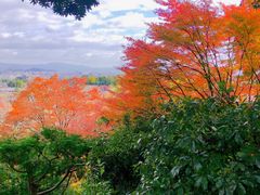 -常寂光寺