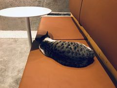 -MQ COFFEE STAND明谦(新洲店)