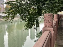 -成都市活水公园