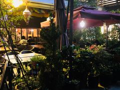 -缘生态云南菜·野生菌庭院餐厅(华侨城店)