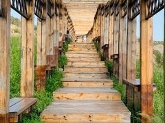 -白草畔自然风景区