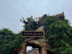 -大槐树寻根祭祖园