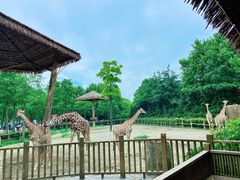 -野生动物园-停车场