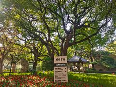 -上海兴国宾馆香樟园西餐厅